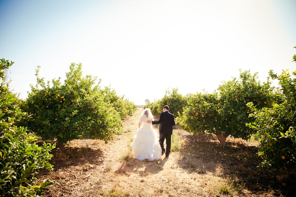 Dana Powers Barn Wedding070.jpg