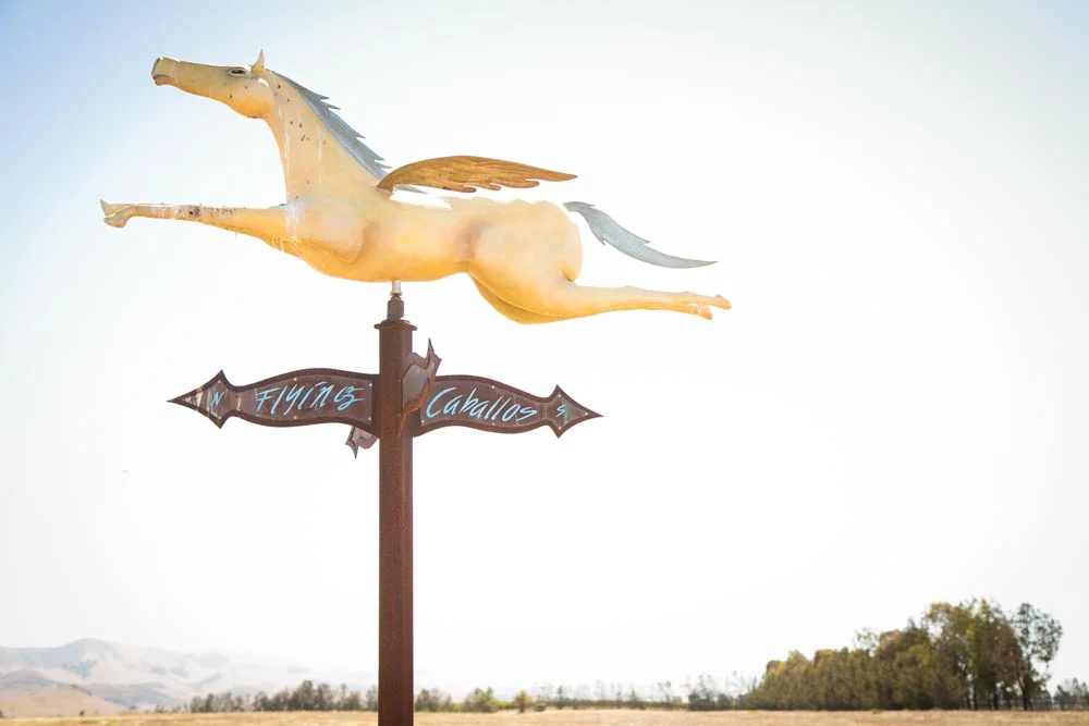 Flying Caballos Ranch Wedding001.jpg