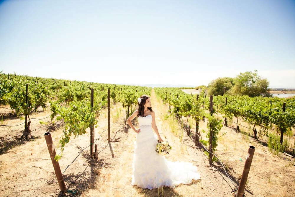 Cellar 360 Winery Wedding016.jpg