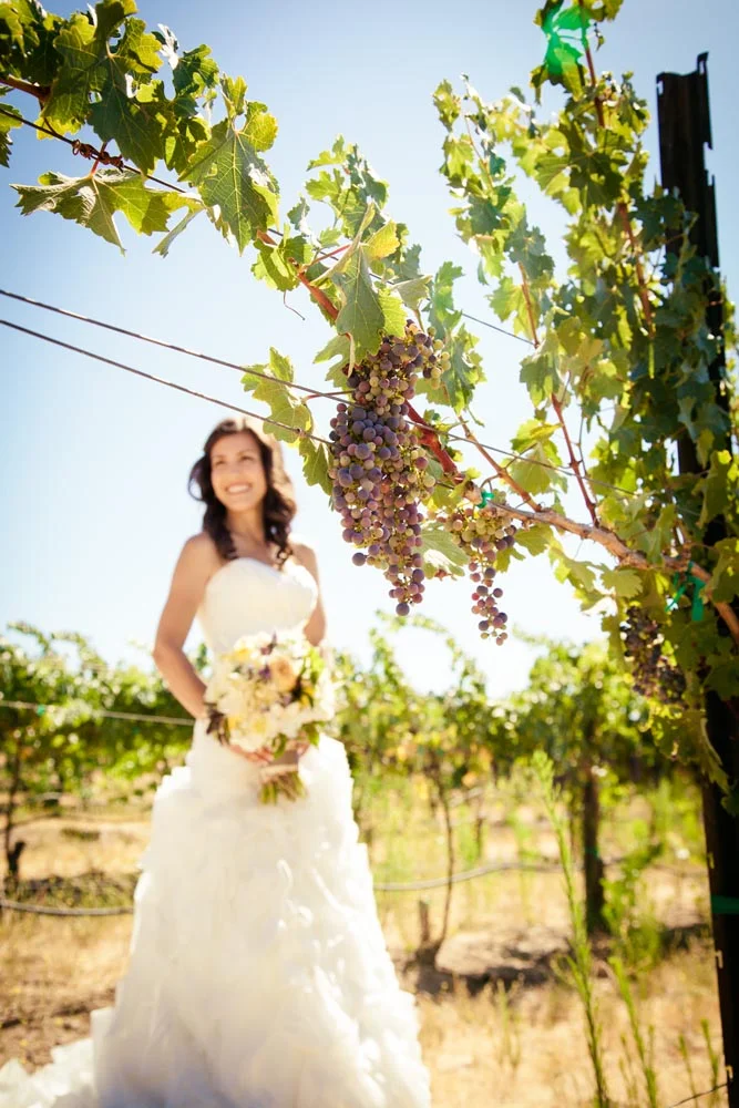 Cellar 360 Winery Wedding019.jpg