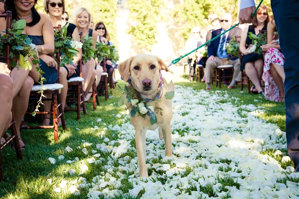 Cellar 360 Winery Wedding050.jpg