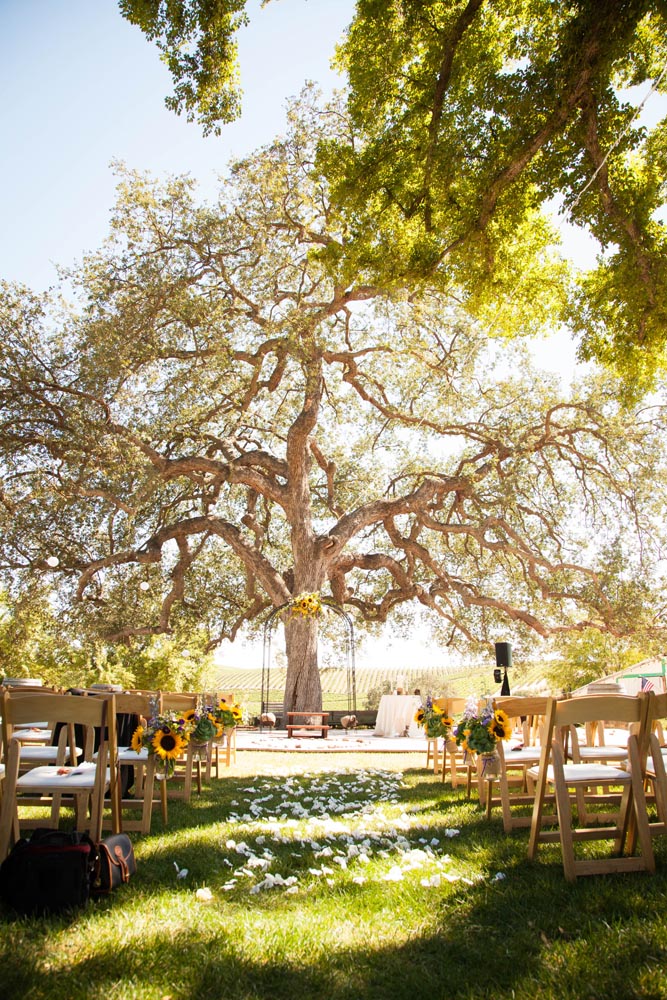 Pomar Junction Vineyard Wedding016.jpg