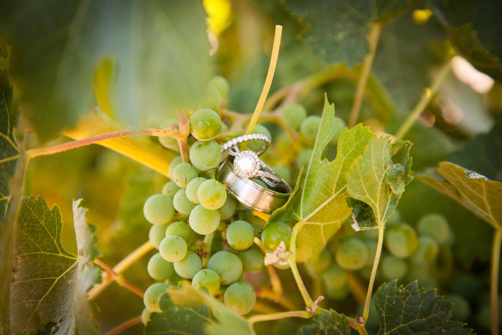 Pomar Junction Vineyard Wedding036.jpg