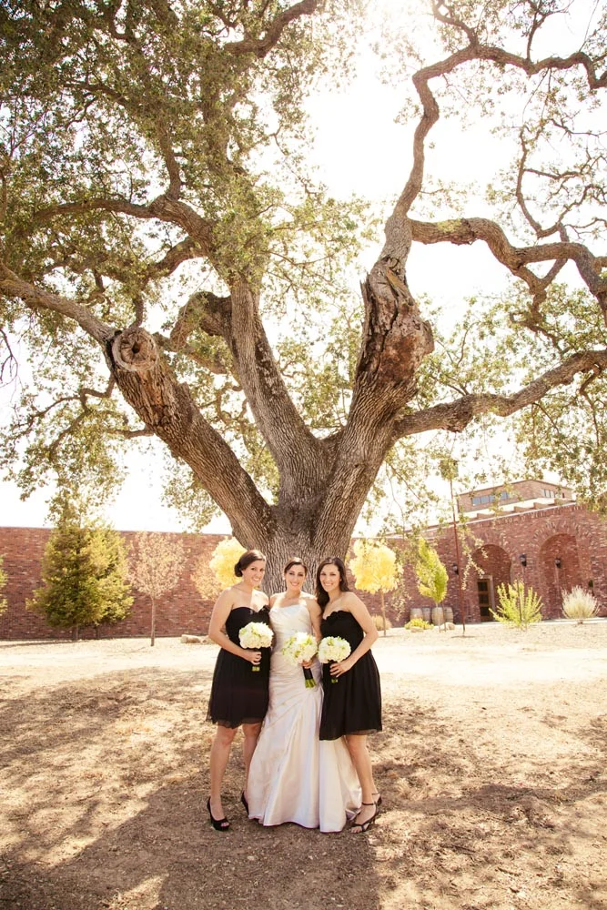 Robert Hall Winery Wedding005.jpg