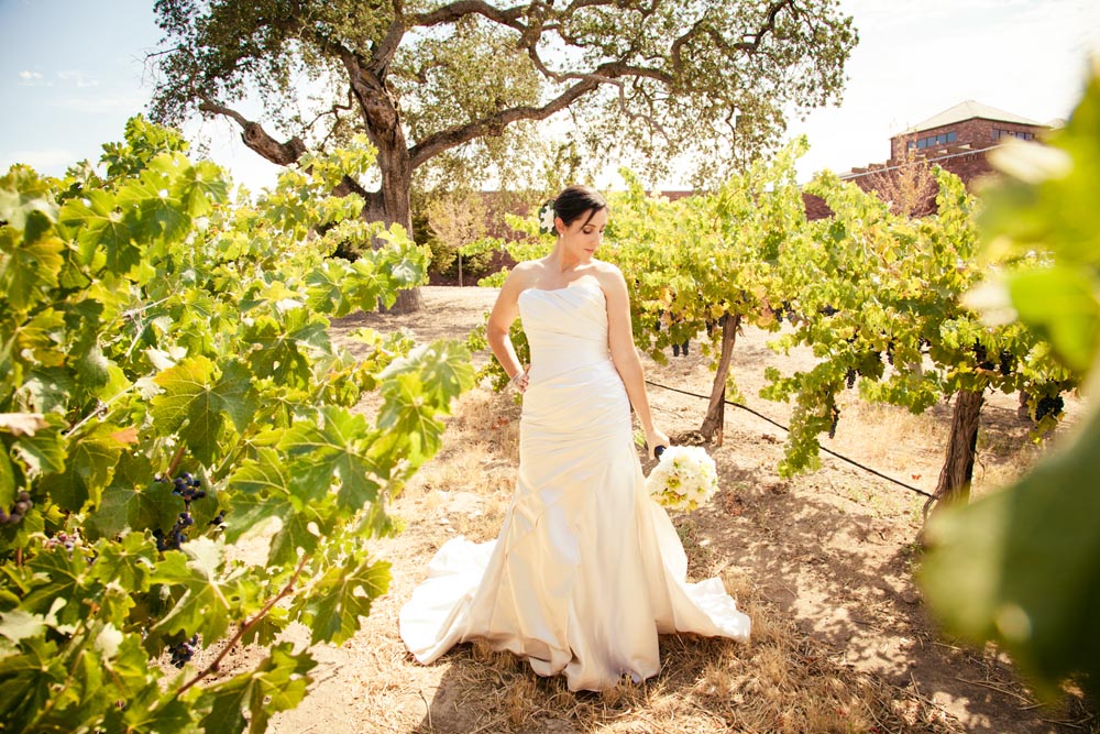 Robert Hall Winery Wedding014.jpg