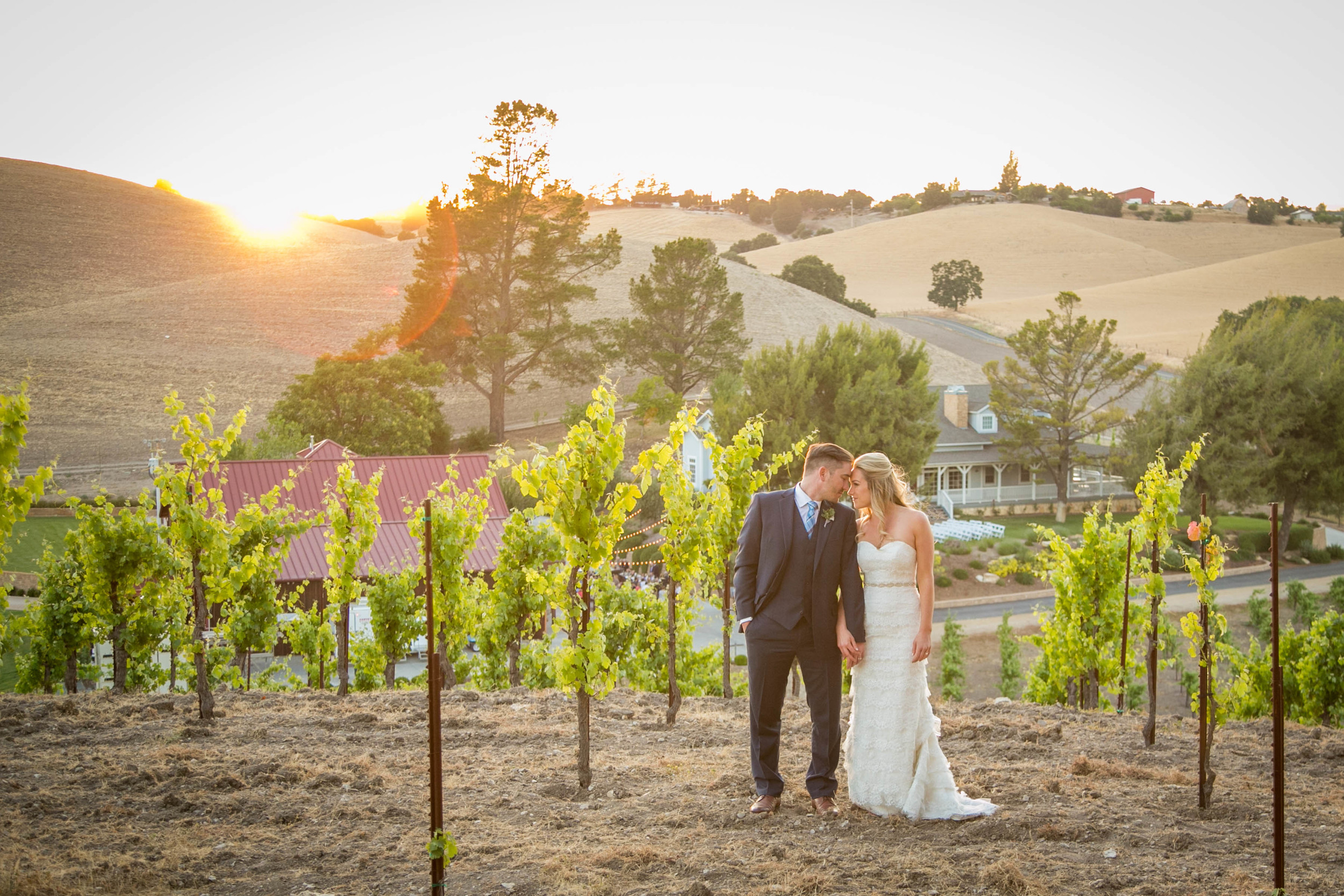 Paso Robles Vineyard Wedding183.jpg