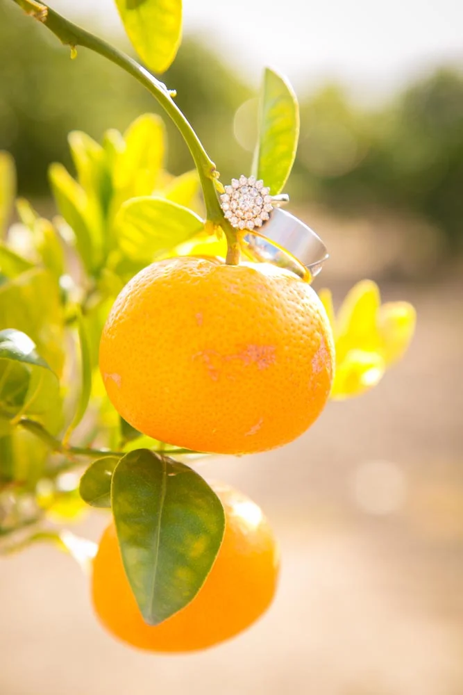 Dana Powers Barn Wedding137.jpg