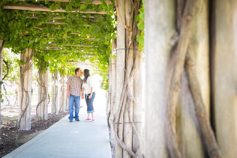 Le Vigne Winery Engagements197.jpg