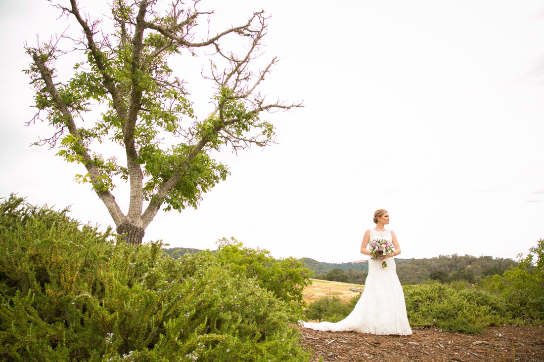 Opolo Vineyards Wedding017.jpg