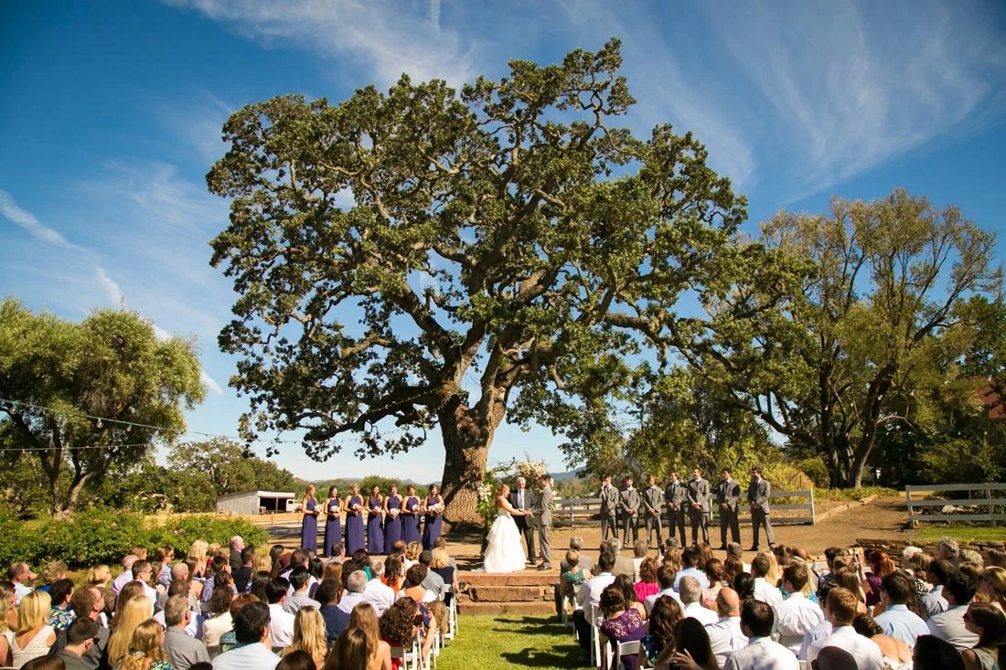 Santa Margarita Ranch Wedding109.jpg