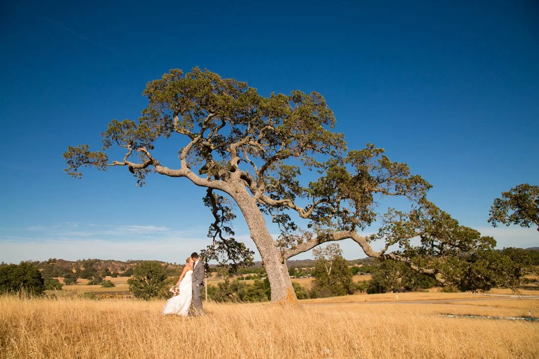Santa Margarita Ranch Wedding131.jpg