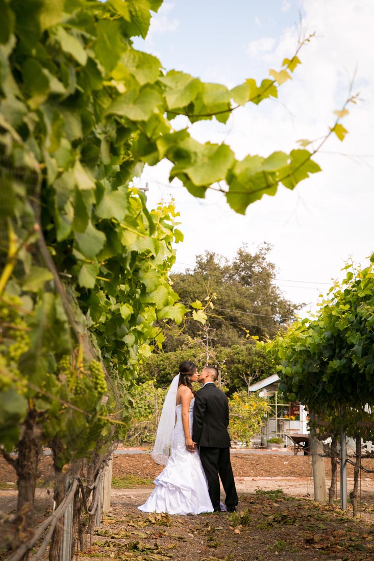 Gardens at Peacock Farms Wedding094.jpg