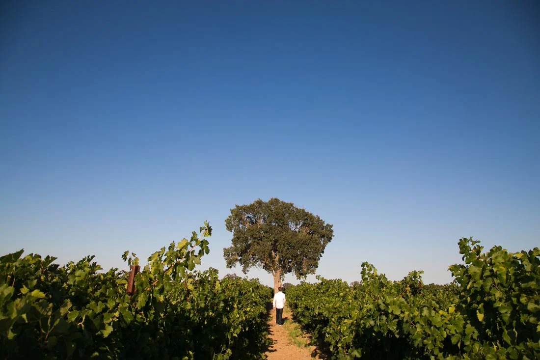 Le Vigne Winery Senior Portraits007.jpg