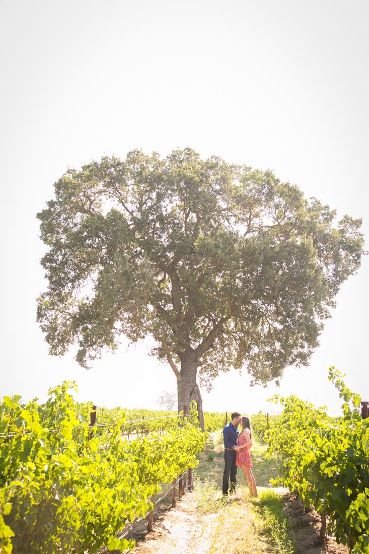 Le Vigne Winery Engagement Session 018.jpg