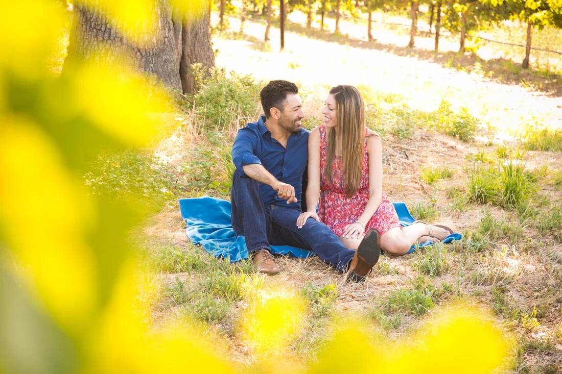 Le Vigne Winery Engagement Session 024.jpg