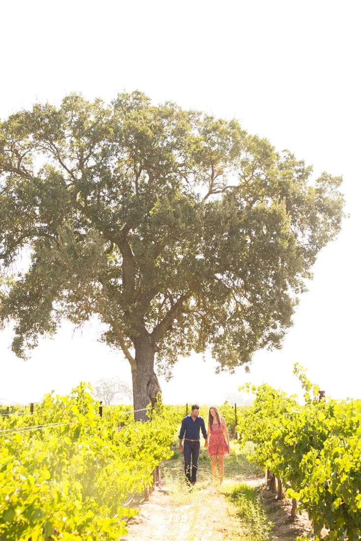 Le Vigne Winery Engagement Session 026.jpg