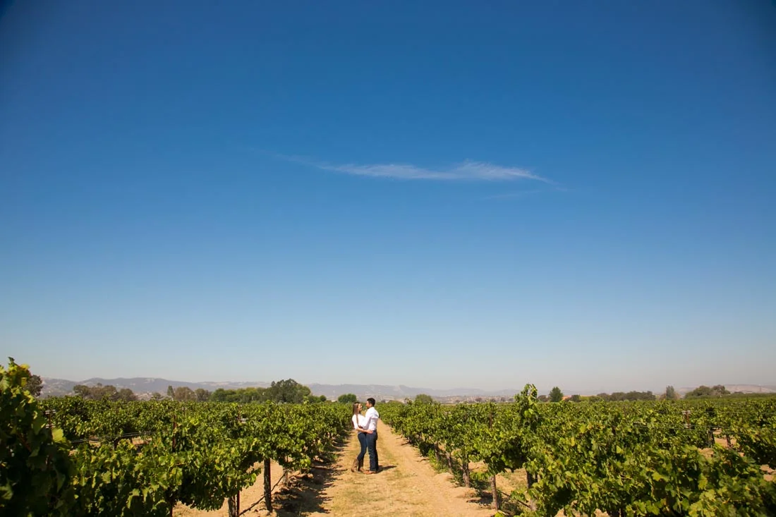 Le Vigne Winery Engagement Session 034.jpg