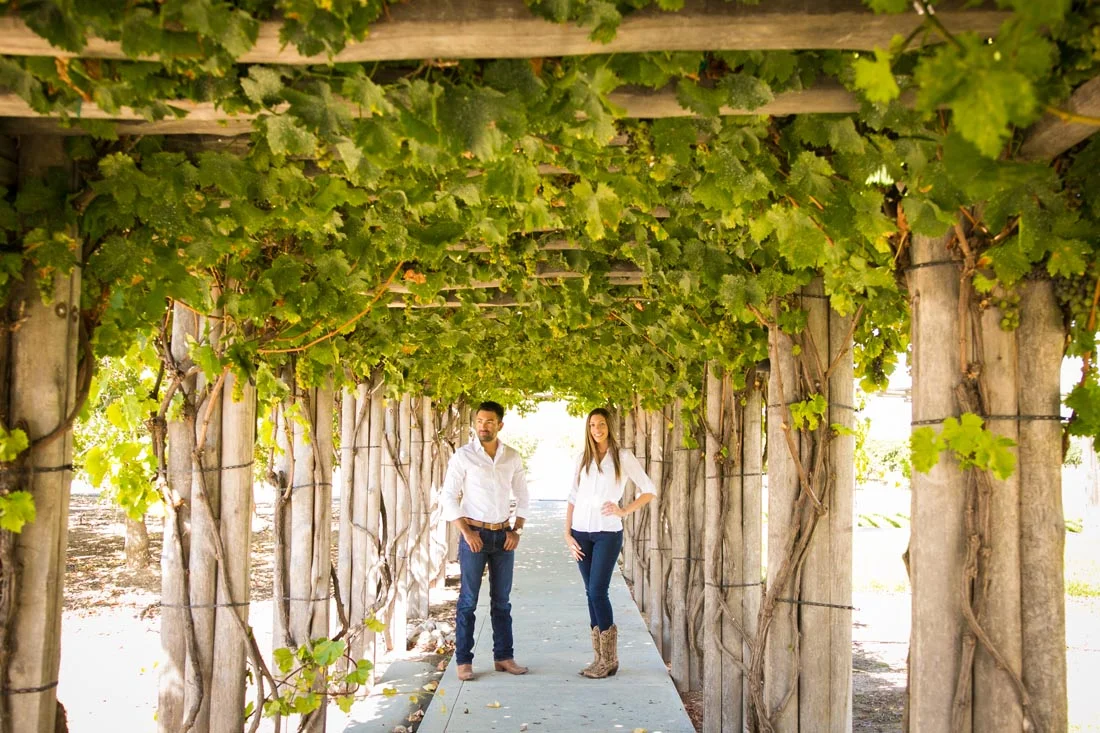 Le Vigne Winery Engagement Session 044.jpg