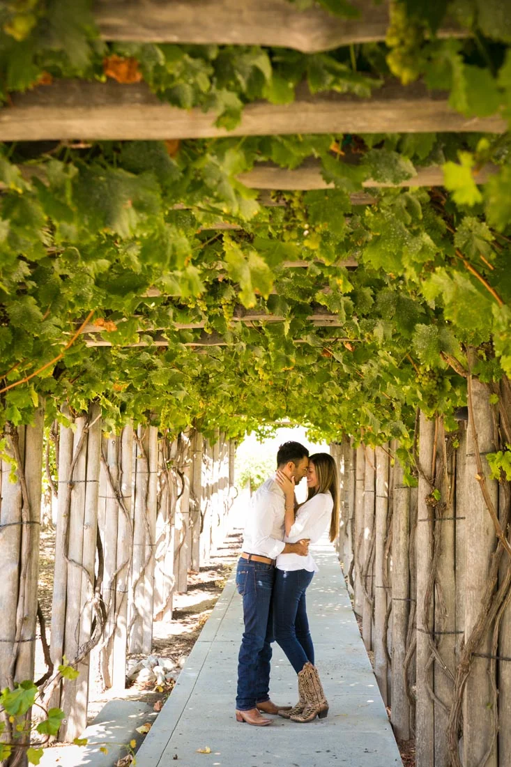 Le Vigne Winery Engagement Session 045.jpg