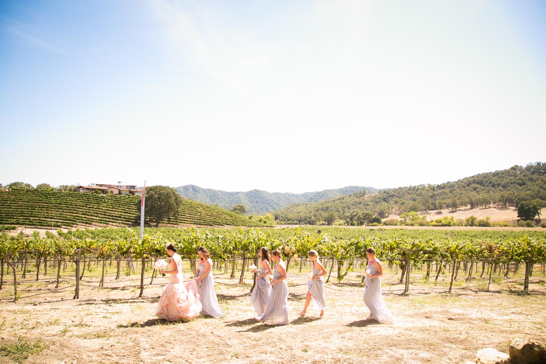 Hammersky Vineyards Wedding021.jpg