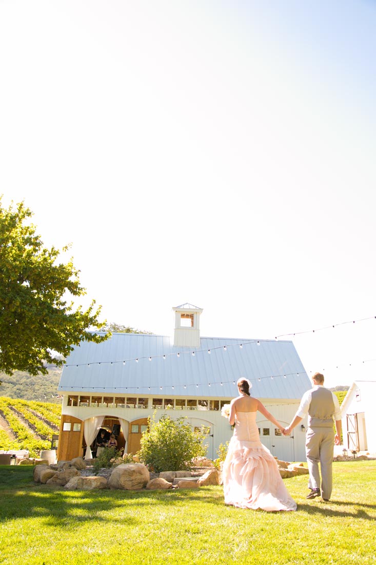 Hammersky Vineyards Wedding100.jpg