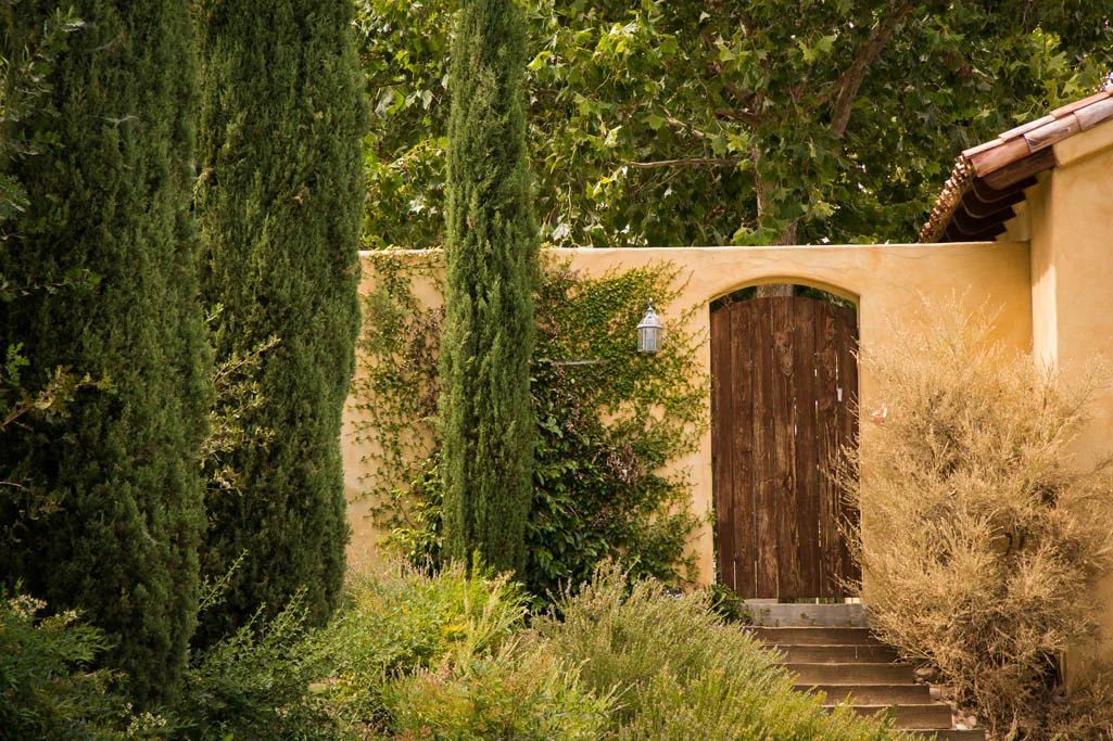 Sue Casa Templeton Wedding001.jpg