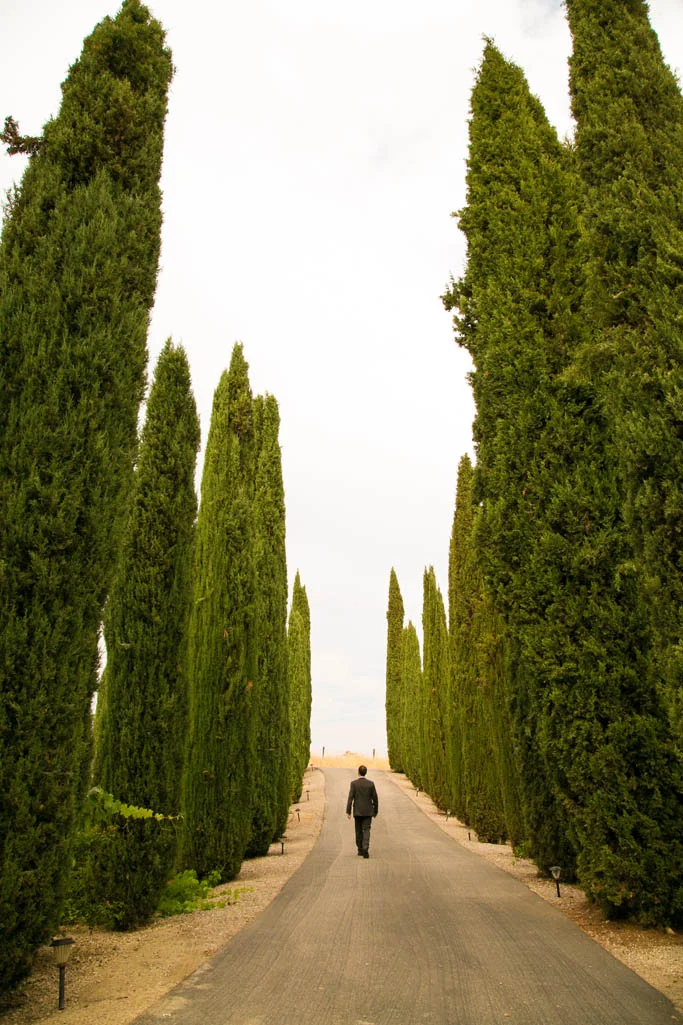 Sue Casa Templeton Wedding017.jpg