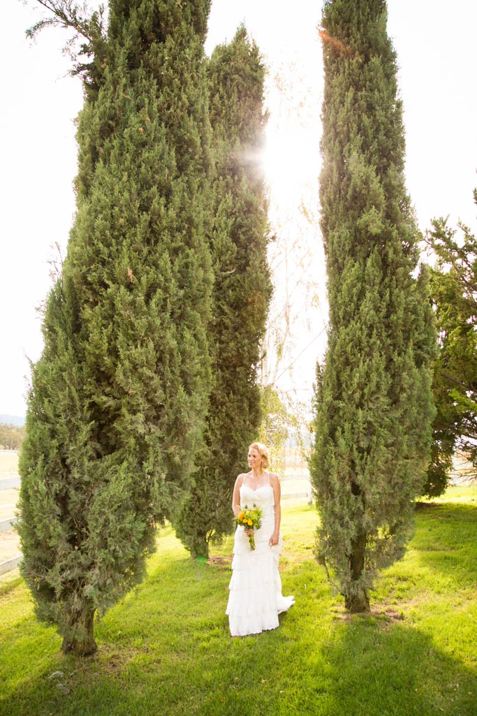 Sue Casa Templeton Wedding032.jpg