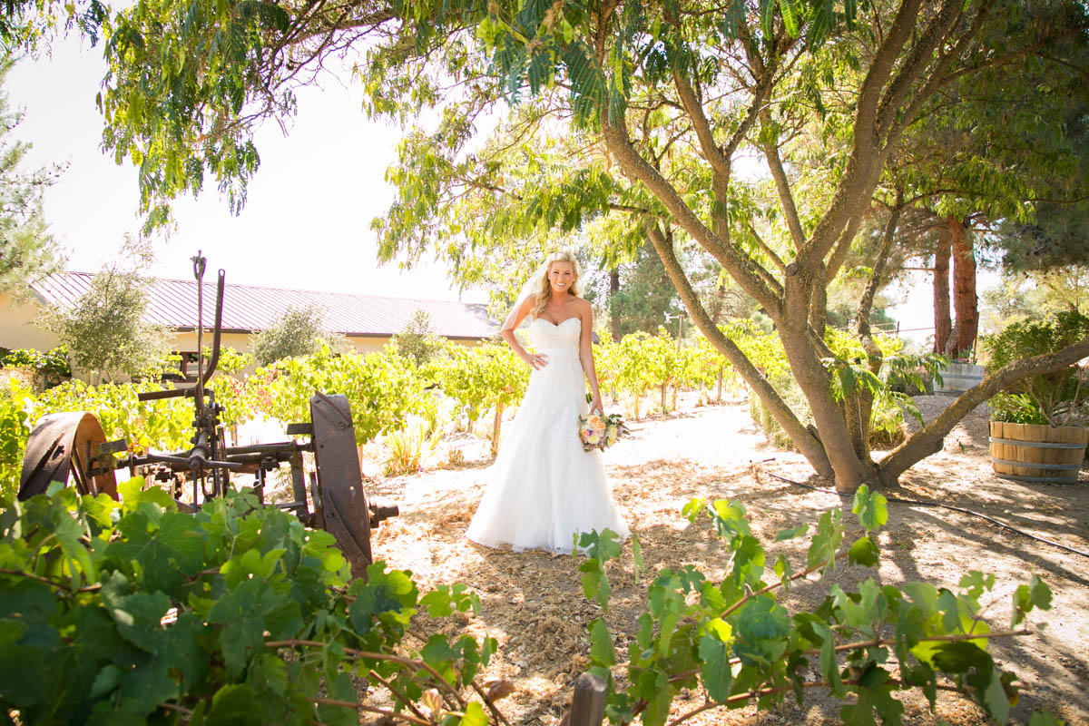 Still Waters Vineyard Paso Robles Wedding020.jpg