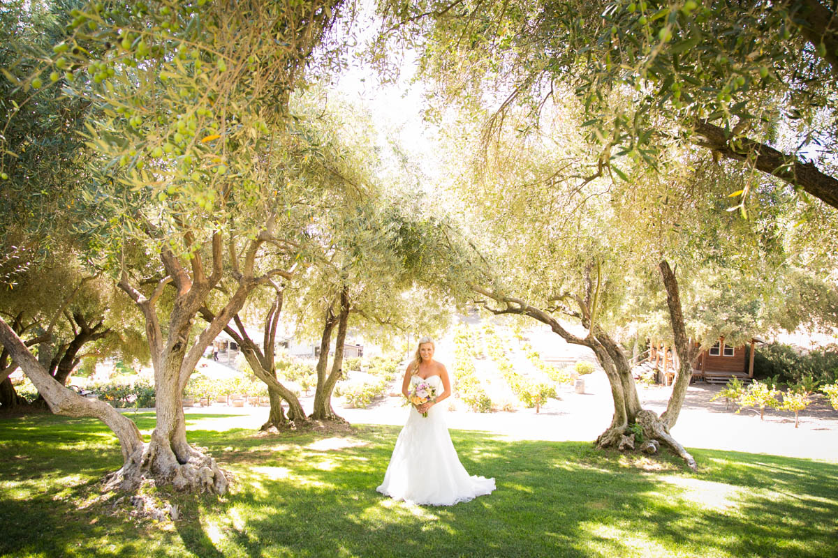 Still Waters Vineyard Paso Robles Wedding050.jpg