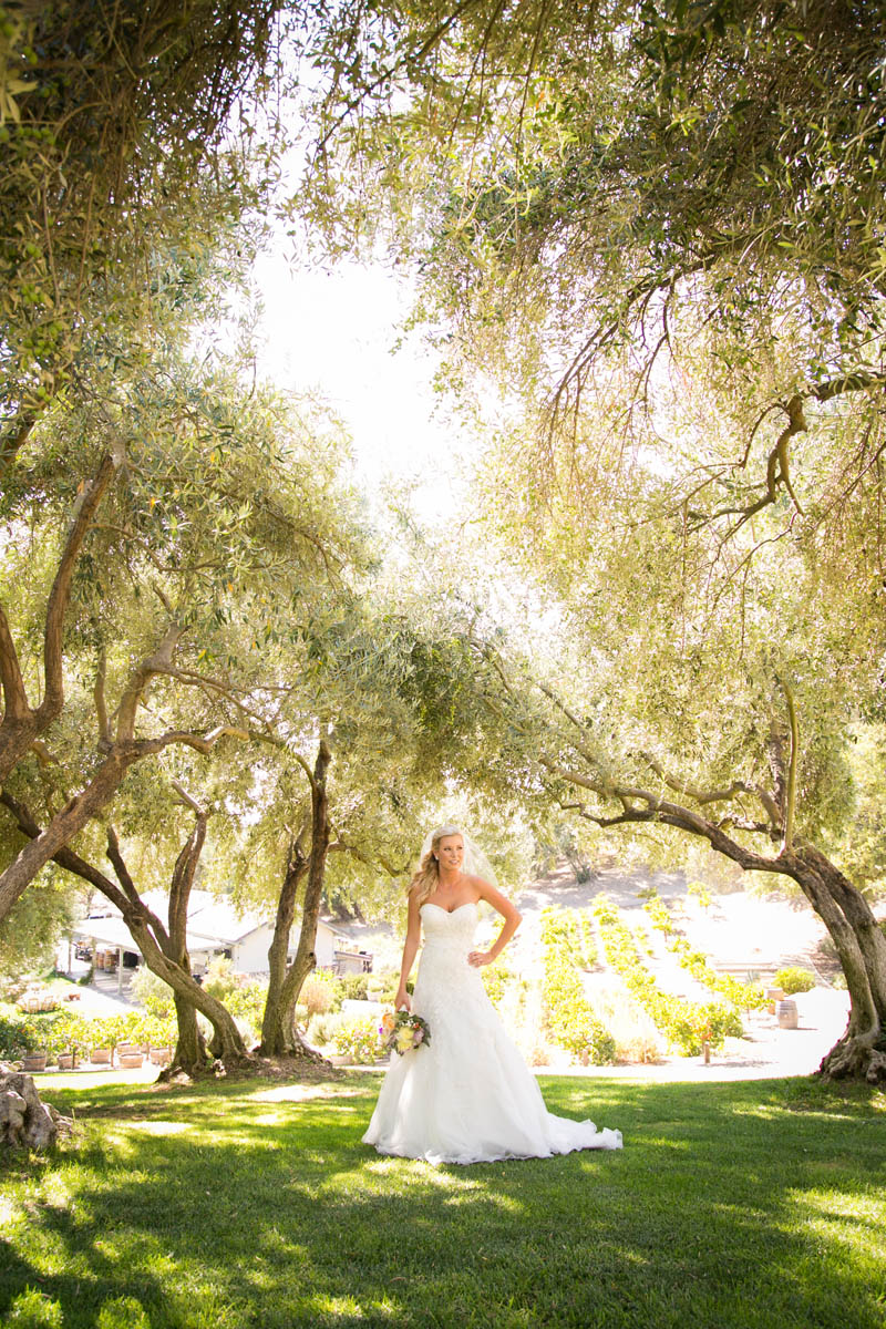 Still Waters Vineyard Paso Robles Wedding053.jpg