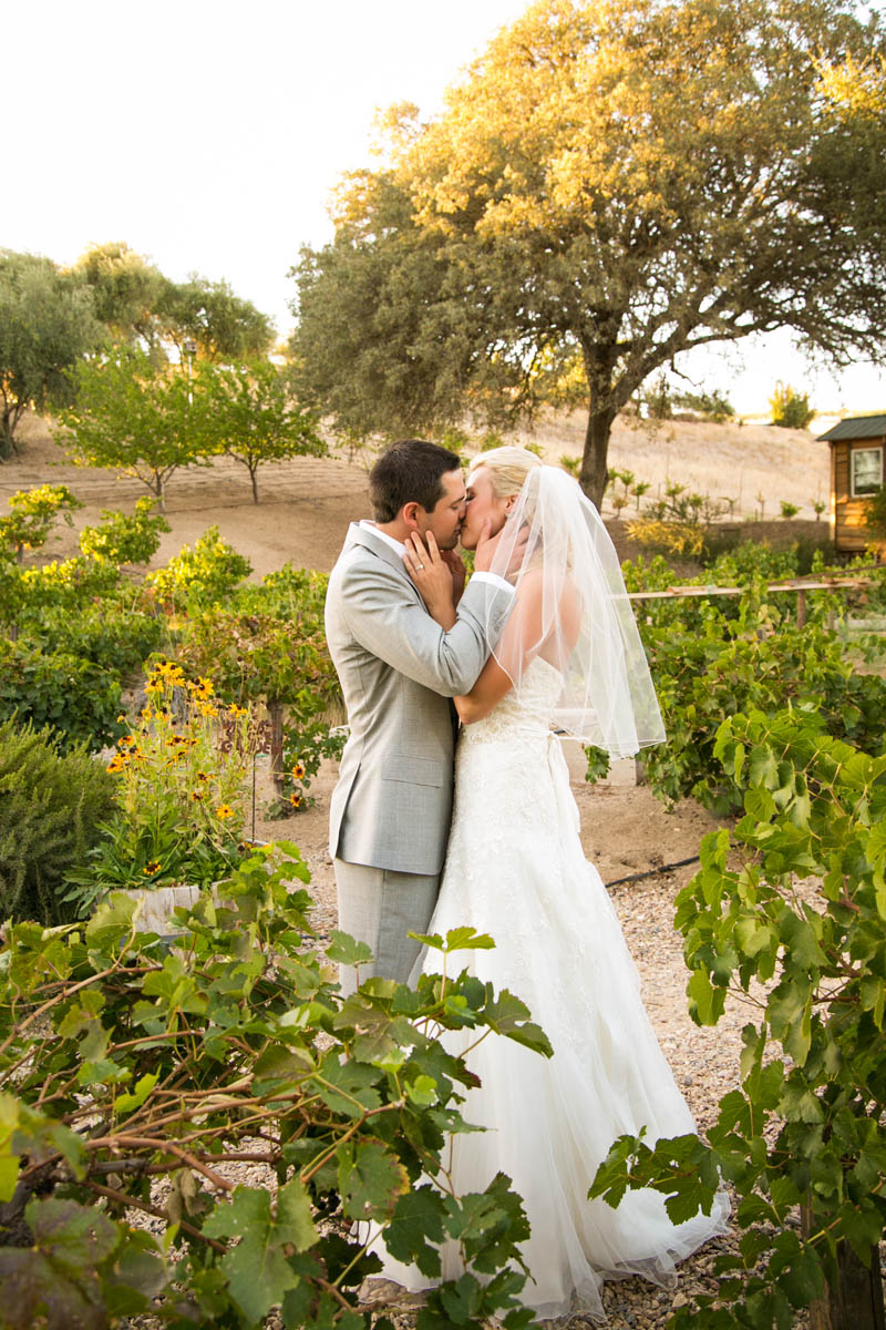 Still Waters Vineyard Paso Robles Wedding122.jpg