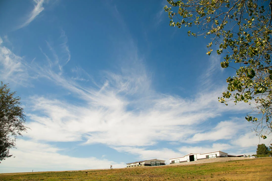 Greengate Ranch and Vineyard Wedding091.jpg