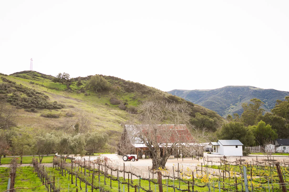 Paso Robles Wedding Photographer and Engagement Session001.jpg