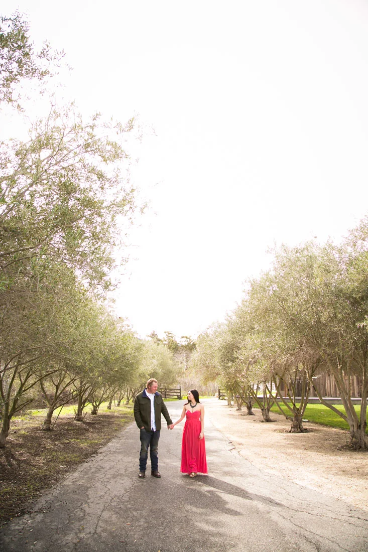 Paso Robles Wedding Photographer and Engagement Session004.jpg