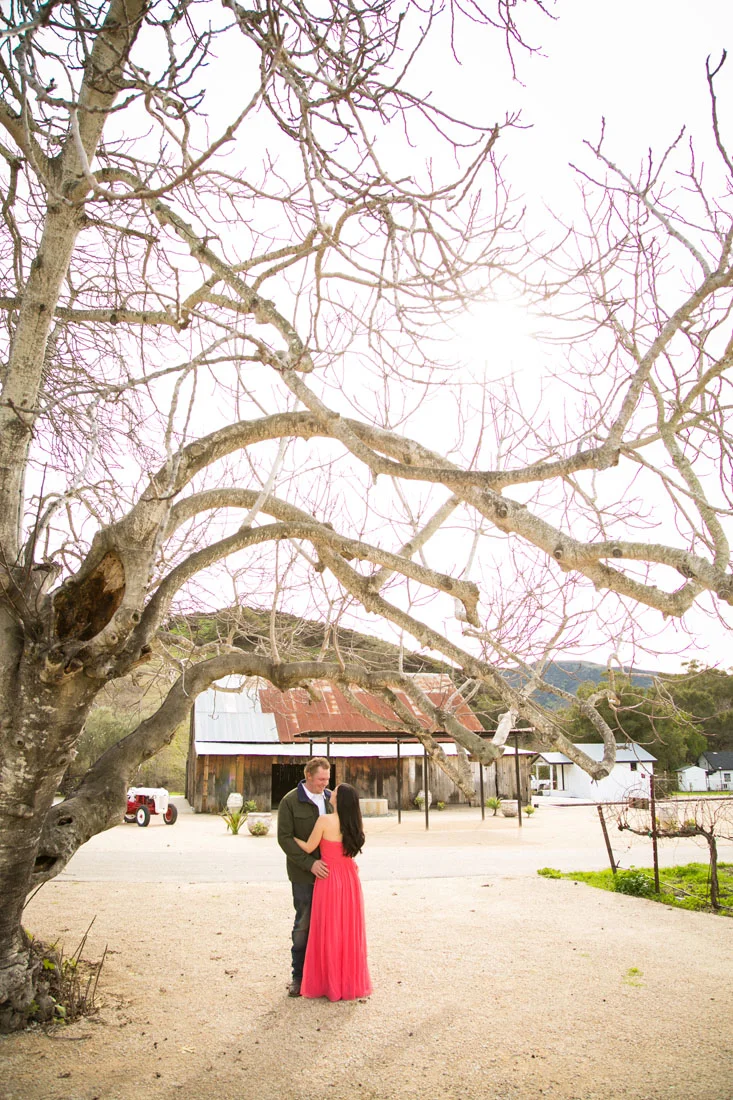Paso Robles Wedding Photographer and Engagement Session022.jpg