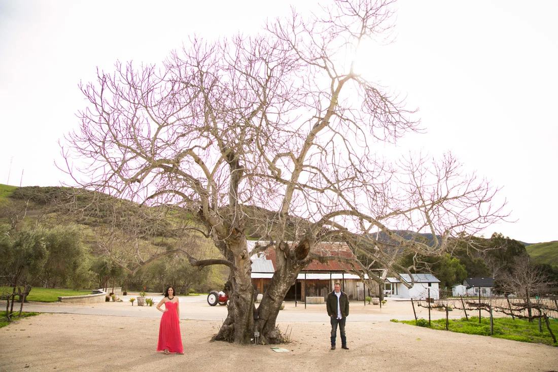 Paso Robles Wedding Photographer and Engagement Session026.jpg