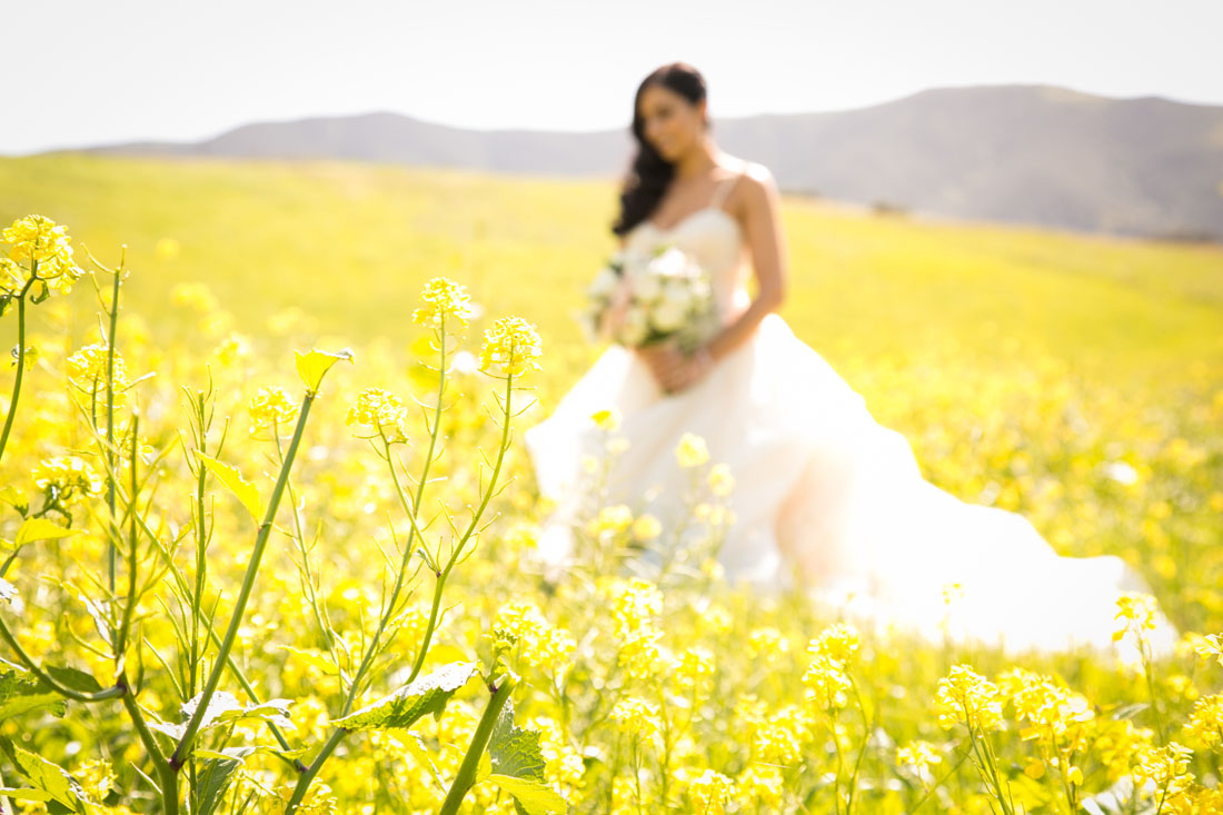 San Luis Obispo and Paso Robles Wedding Photographer 053.jpg