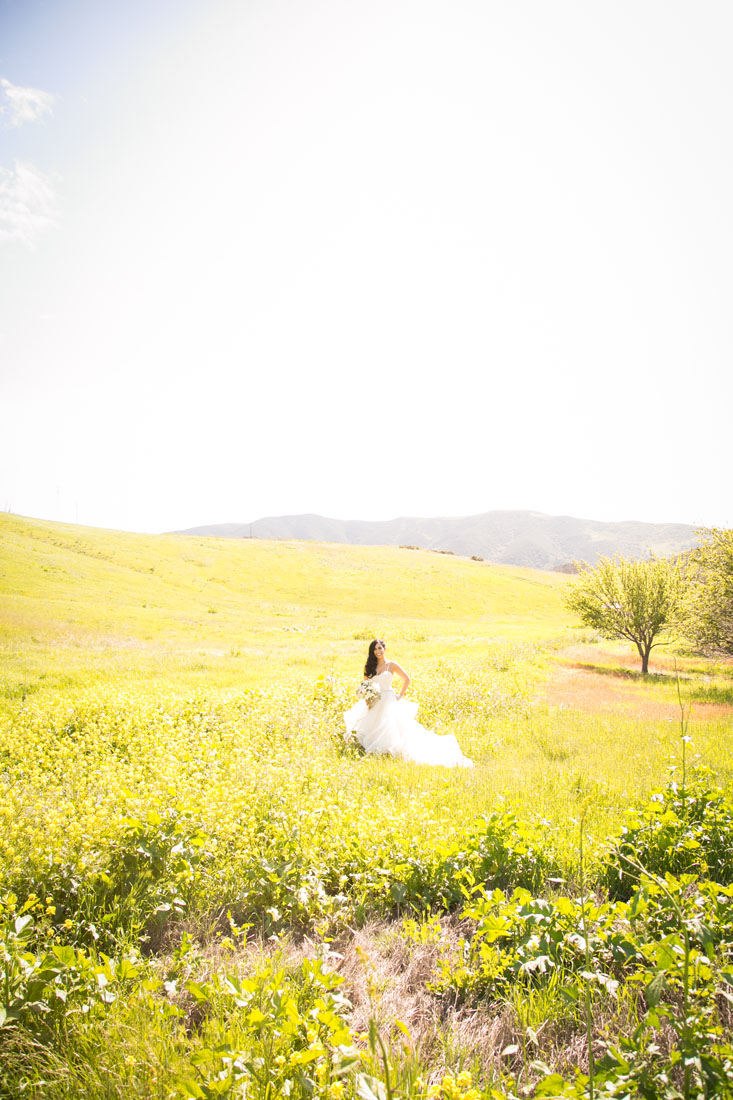 San Luis Obispo and Paso Robles Wedding Photographer 054.jpg