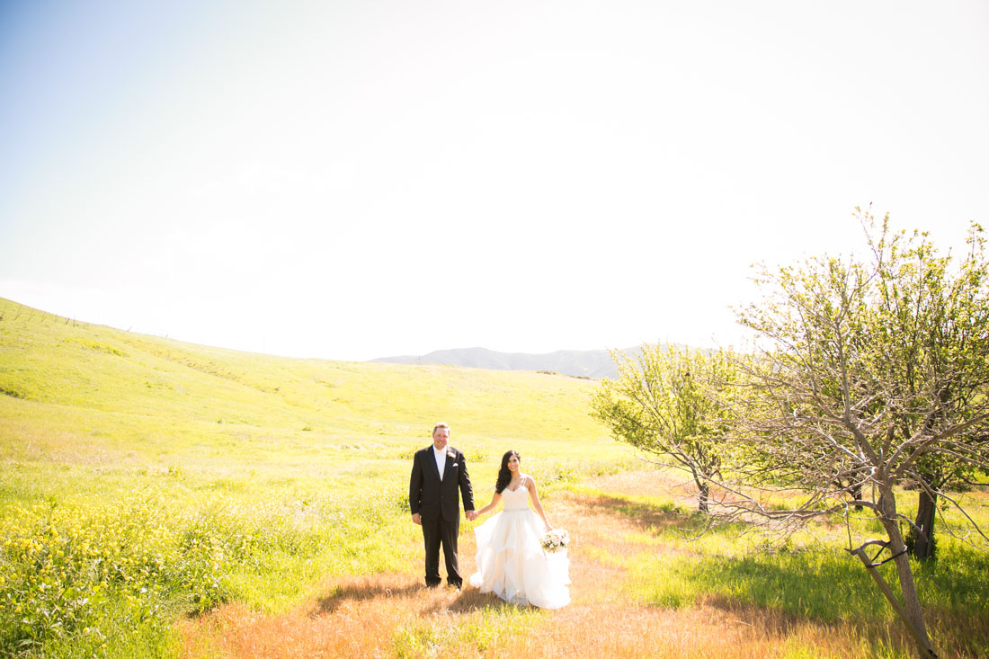San Luis Obispo and Paso Robles Wedding Photographer 063.jpg