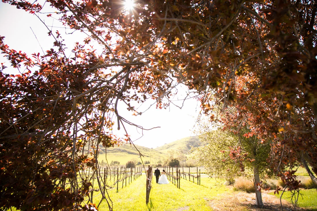 San Luis Obispo and Paso Robles Wedding Photographer 077.jpg