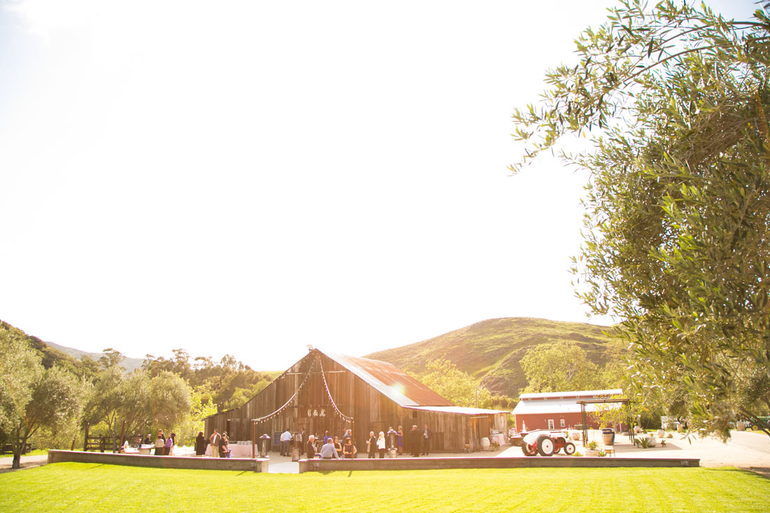 San Luis Obispo and Paso Robles Wedding Photographer 128.jpg