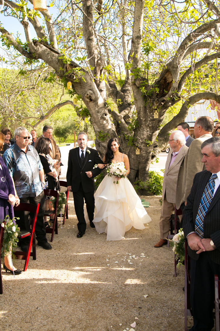 San Luis Obispo and Paso Robles Wedding Photographer 133.jpg