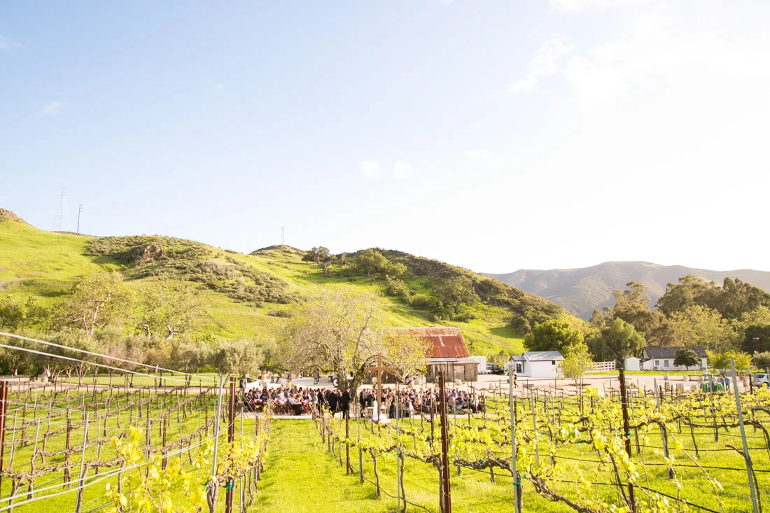 San Luis Obispo and Paso Robles Wedding Photographer 139.jpg