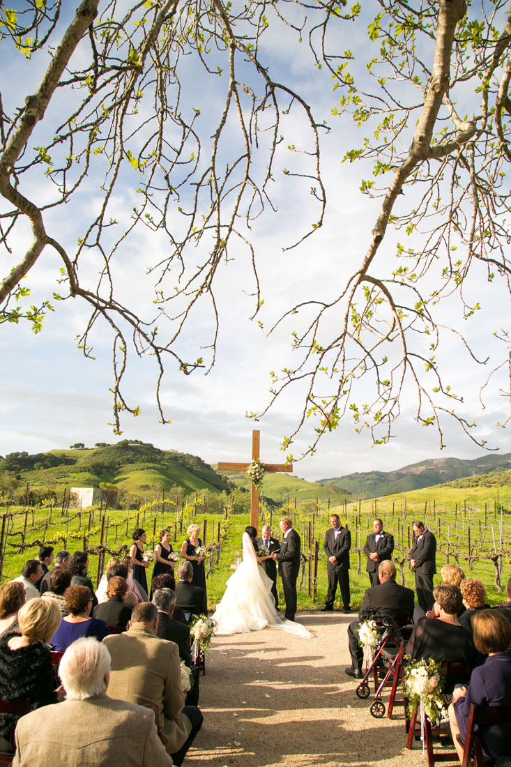 San Luis Obispo and Paso Robles Wedding Photographer 138.jpg