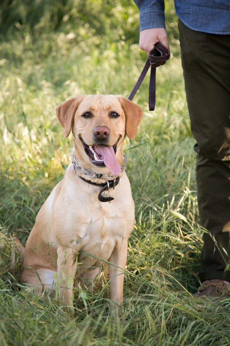 Paso Robles Wedding and Family Photographer 05.jpg