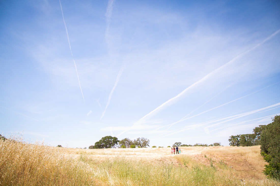 Paso Robles Wedding and Family Photographer 46.jpg