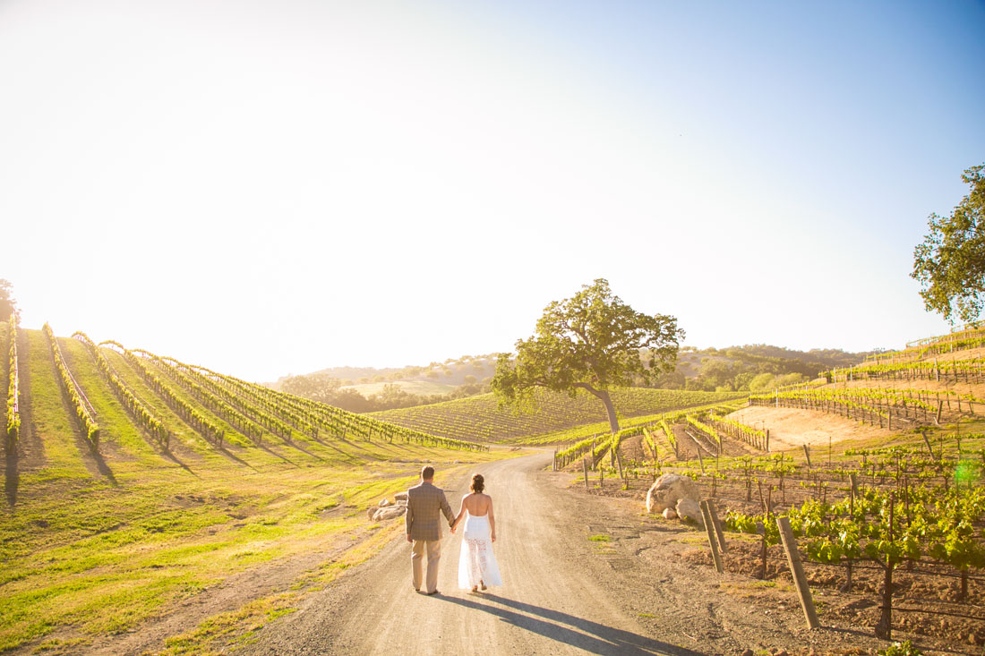 Paso Robles Wedding and Family Photographer 076.jpg