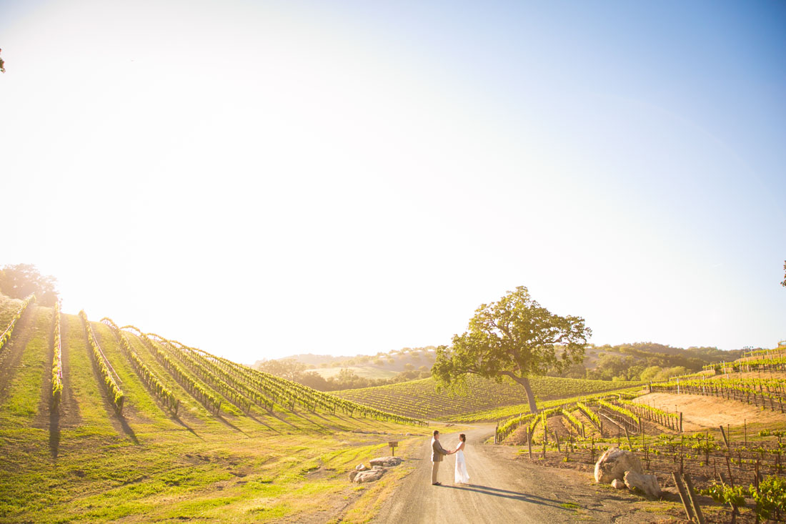 Paso Robles Wedding and Family Photographer 079.jpg