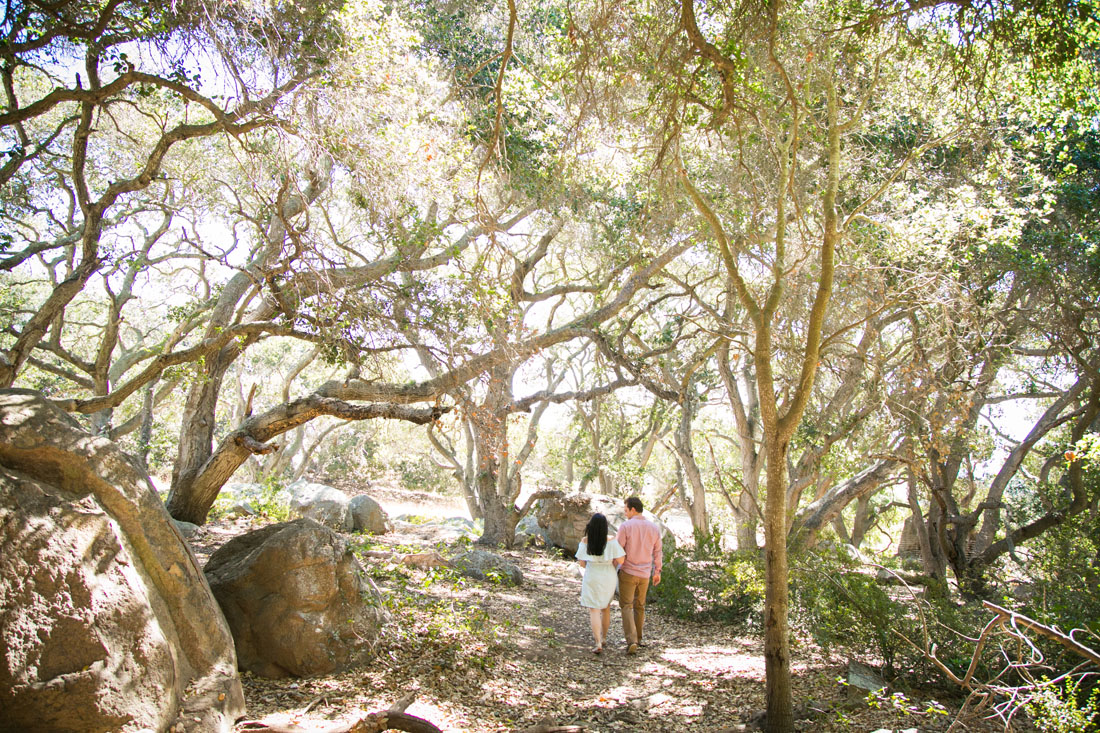 San Luis Obispo Wedding and Family Photographer 024.jpg